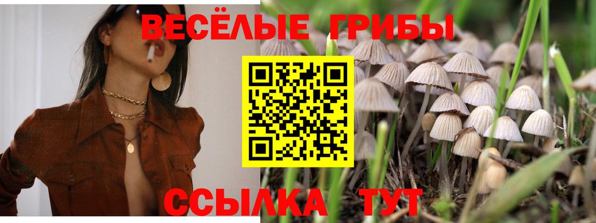 Псилоцибиновые грибы Magic Shrooms Тара
