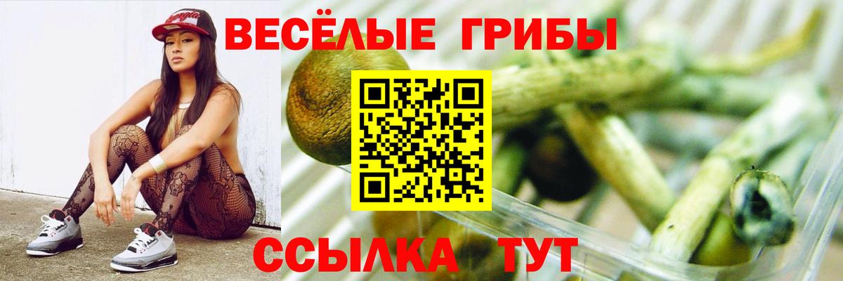 Тара  Псилоцибиновые грибы Magic Shrooms  наркота  Вход с VPN 